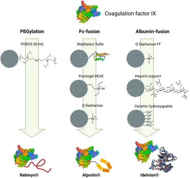 健康・医学 FUSION PROTEIN TECHNOLOGIES FOR BIOPHARM Recent advancements in fusion protein technologies in