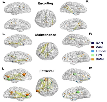 Frontiers | Amyloid-Beta Influences Memory via Functional