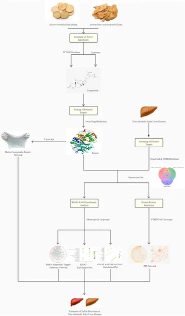【F 】 Frontiers | Fangji Dihuang formulation ameliorated DNCB