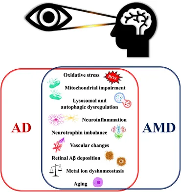 Frontiers | Effects of multi-organ crosstalk on the