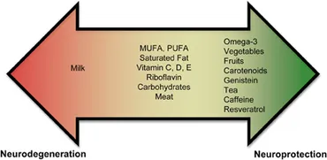 商品画像：Frontiers | Interactions between gut microbiota and 4