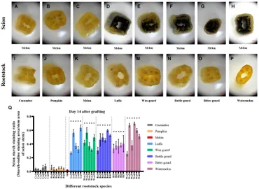 Frontiers | Compatibility Evaluation and Anatomical