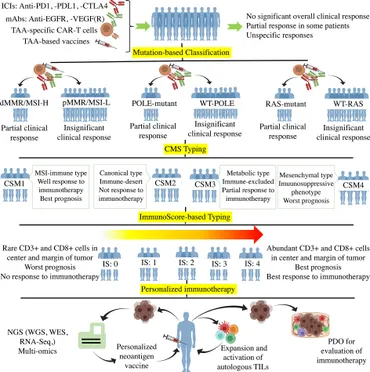 Frontiers | Personalized Immunotherapy in Colorectal Cancers