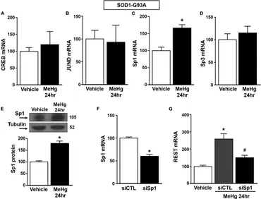 Frontiers | Mechanisms of regulation of SNF1/AMPK/SnRK1