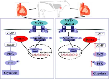 専用　oz 1-2y Amazon.com : quickwig Lace Front Wigs Long Dreadlock Wig for