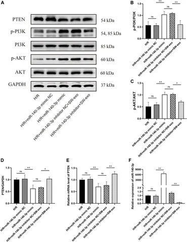 Taohong siwu decoction suppresses oxidative stress-induced