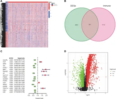 Frontiers | External Validation of the Prognostic Value of