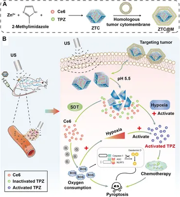 健康・医学 DispositionofToxicDrugsandChemicalsinMan Clostridium difficile Toxin A 95 (SDS-PAGE)