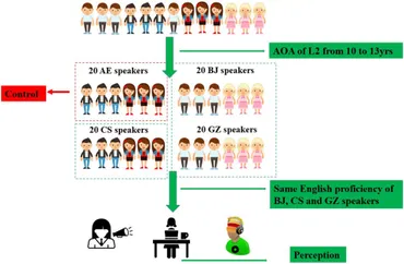 洋書 English Stress: Its Form, Its Growth, an English Stress: Its Form, Its Growth, an - メルカリ