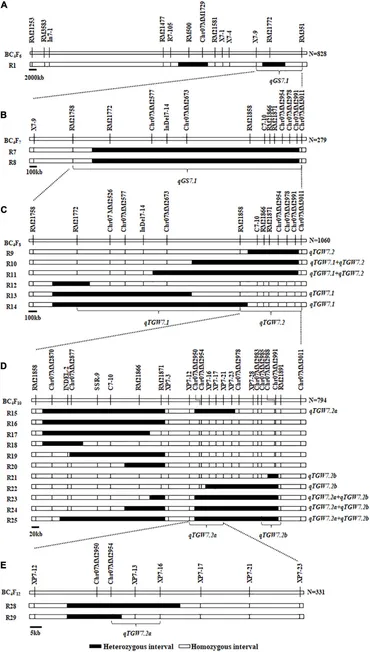 Frontiers | Dissection of Closely Linked Quantitative Trait