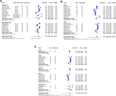 Frontiers | Effectiveness and Safety of Anti-CD19 Chimeric