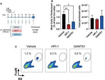 Frontiers | A Critical Function for the Transcription
