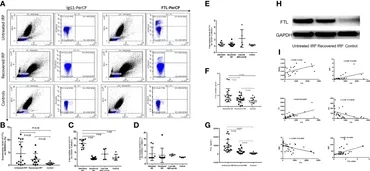 EXTRACTOR Frontiers | Ferritin Light Chain: A Candidate Autoantigen in ... Frontiers | Ferritin Light Chain: A Candidate Autoantigen in ... EXTRACTOR Frontiers | Ferritin Light Chain: A Candidate Autoantigen in ... Frontiers | Ferritin Light Chain: A Candidate Autoantigen in ...