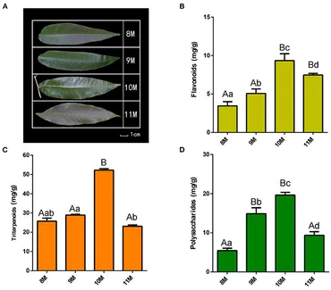 Yu様 Disruption of NIPBL/Scc2 in Cornelia de Lange Syndrome