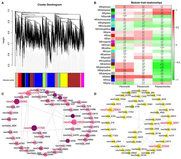 Frontiers | Metabolome and Whole-Transcriptome Analyses Frontiers | Metabolome and Whole-Transcriptome Analyses