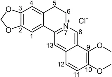 Frontiers | The mechanism of berberine alleviating metabolic