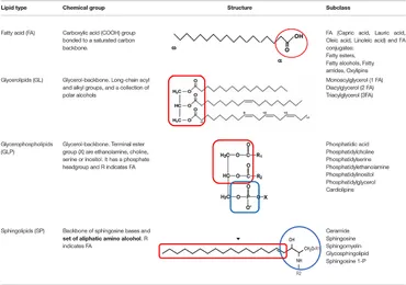 いのうえの Frontiers | Lipidomic Profiling in Synovial Tissue