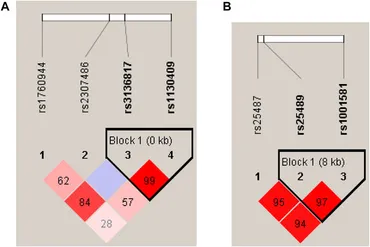 Frontiers | Association of APEX1 and XRCC1 Gene