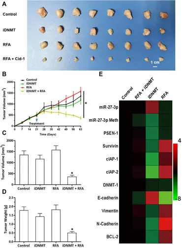 Frontiers | A Novel Small Molecular Inhibitor of DNMT1