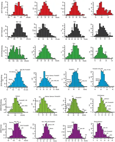 GooD様 Tuning the Morphology of Immiscible Polymer Blend-Based