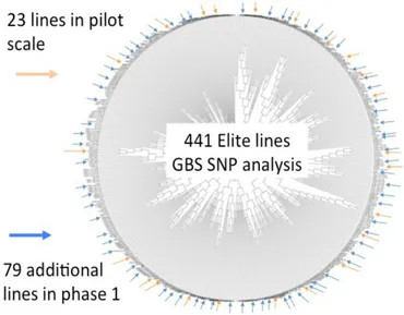 Frontiers | The SoyaGen Project: Putting Genomics to Work