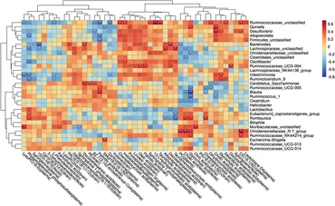 Frontiers | Schisandrin alleviates the cognitive impairment