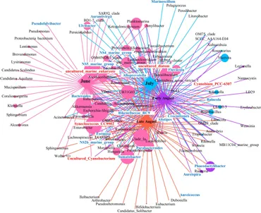 Frontiers | Understanding the Variation of Bacteria in