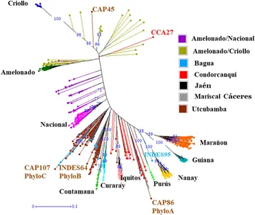 Frontiers | Genetic diversity and population structure of