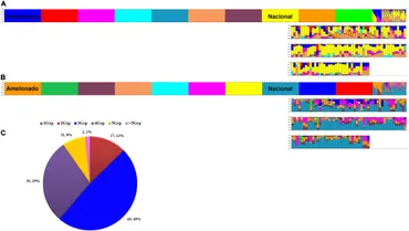 Frontiers | Genetic diversity and population structure of