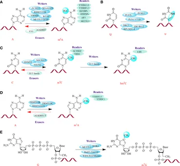 aa様 A Minireview of the Solid-State Electrolytes for Zinc Batteries