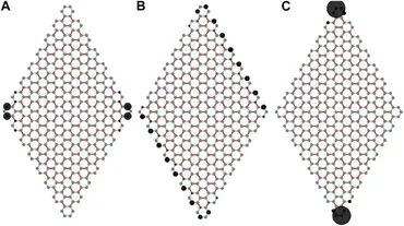 Topological Insulators and　洋書 Frontiers | Takagi Topological Insulator on the Honeycomb