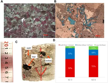 Frontiers | Case Study of Successfully Staged Acid