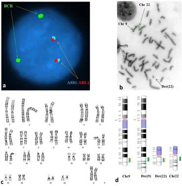 fgene-13-921910-g001.jpg