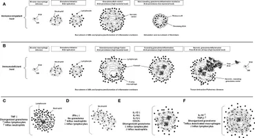 CDいろいろ Conformational switch of the bacterial adhesin FimH in the