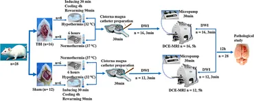 Hypothermia for Acute Brain Damage: Pathomechanism and Practical Aspects [ハードカバー] Hayashi， N.? Bullock， R.? Dietrich， D.W.? Maekawa， T.; Tamura， A. Hypothermia for acute brain injury—mechanisms and practical