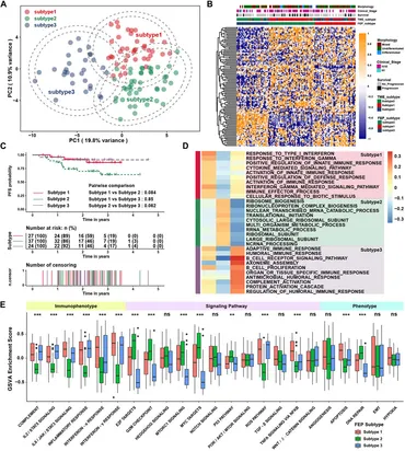 Frontiers | Ferroptosis regulators related scoring system by