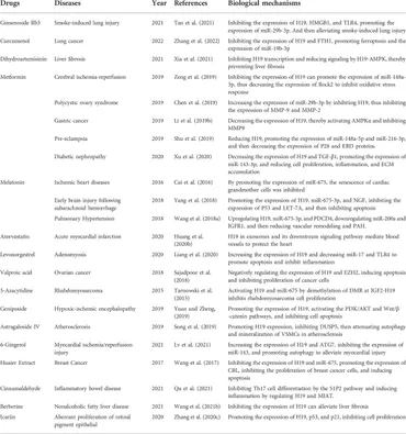 Frontiers | Targeting non-coding RNA H19: A potential