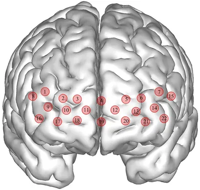 おうちトレーニング FOOT BRAIN みつけれ ACTIVATION