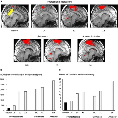 おうちトレーニング　FOOT BRAIN ACTIVATION おうちトレーニング 脳への刺激 FOOT BRAIN ACTIVATION