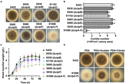 Frontiers | Identification and genetic characterization of