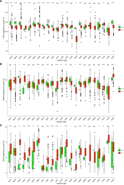 Frontiers | N-Palmitoylethanolamine Maintains Local Lipid