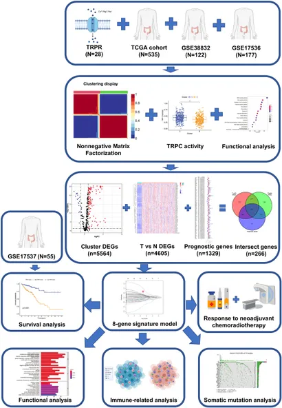 Frontiers | Comprehensive analysis of transient receptor Frontiers | Comprehensive analysis of transient receptor