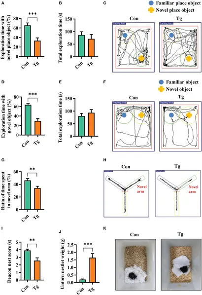 Cryo-EM structures reveal two allosteric inhibition modes of