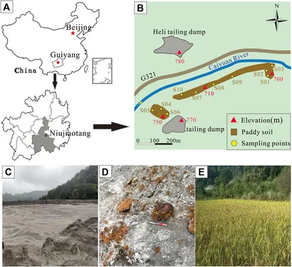 Frontiers | Carbonate mineral controls the transport of Cd