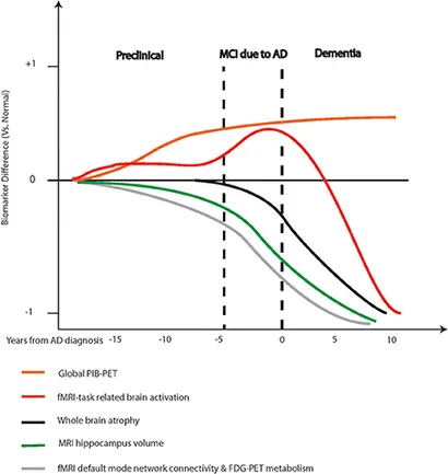 Frontiers | A review of β-amyloid neuroimaging in