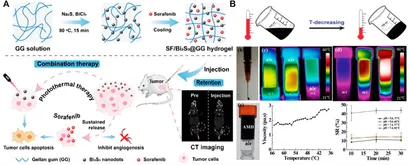 Frontiers | Photothermal nanohybrid hydrogels for biomedical