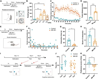 Frontiers | Activation of basolateral amygdala to anterior