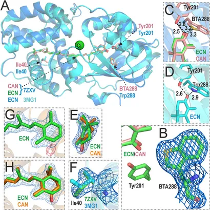 Molecular Biology: Structure and Dynamics of Genomes and