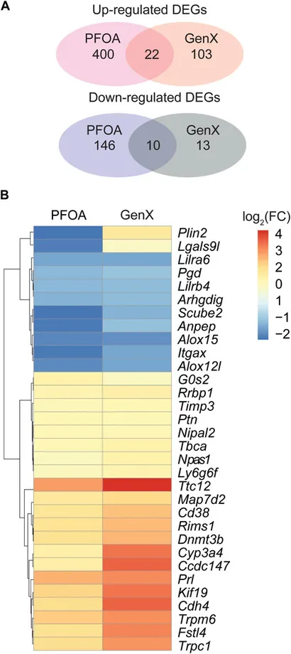 fgene-14-1073461-g003.jpg