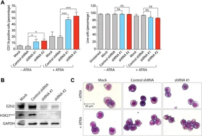 Insufficiency of FZR1 disturbs HSC quiescence by inhibiting